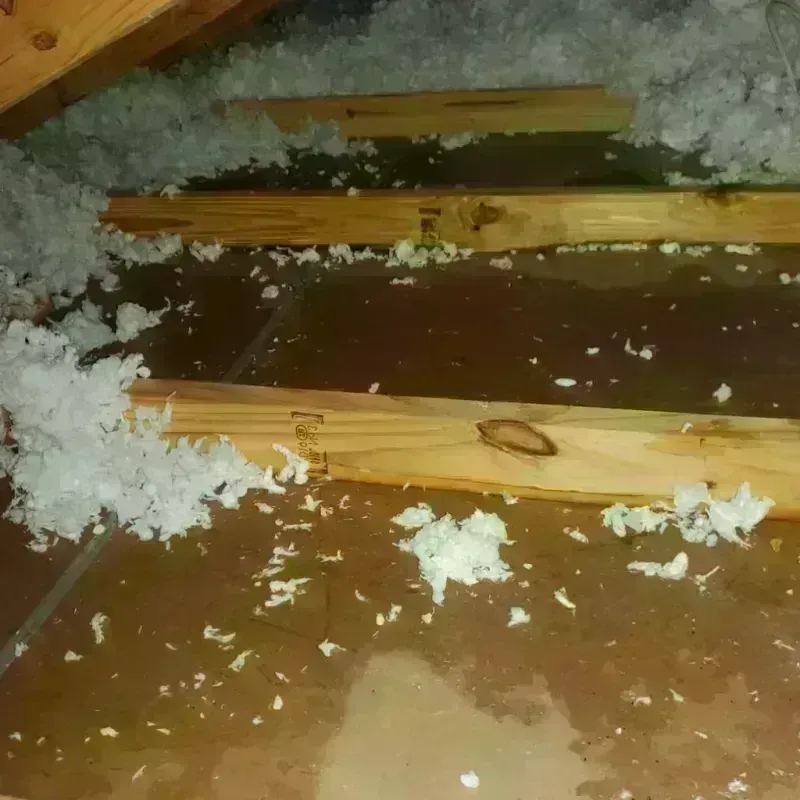 Attic Water Damage in Newton County, MS