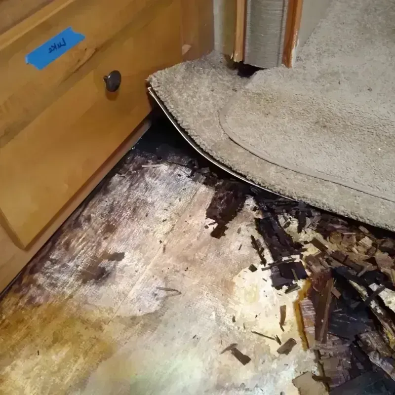 Wood Floor Water Damage in Newton County, MS